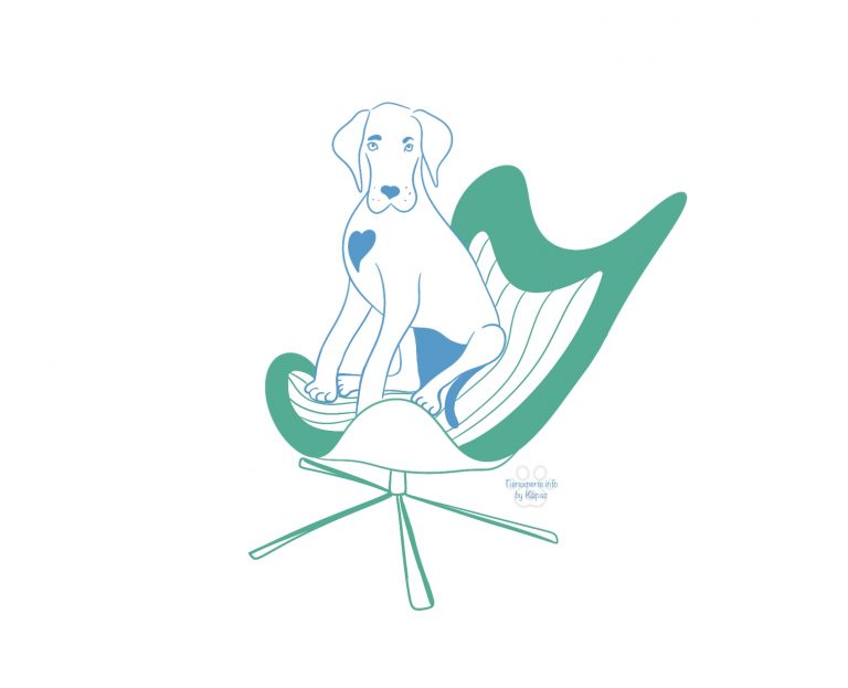 Sitz-Training: Wie man dem Hund Sitz beibringt_Tierexperte.info by Kapaz