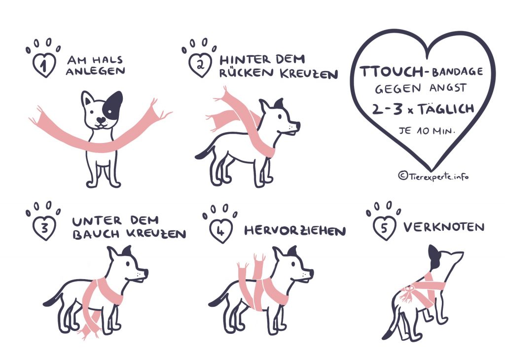 Die Tellington Ttouch-Wickelmethode hilft 80% der Hunde Angst und Stress zu überwinden. Wenn dein Hund Angst vor z.B. Gewitter hat kannst du diese Methode anwenden. ©Tierexperte.info