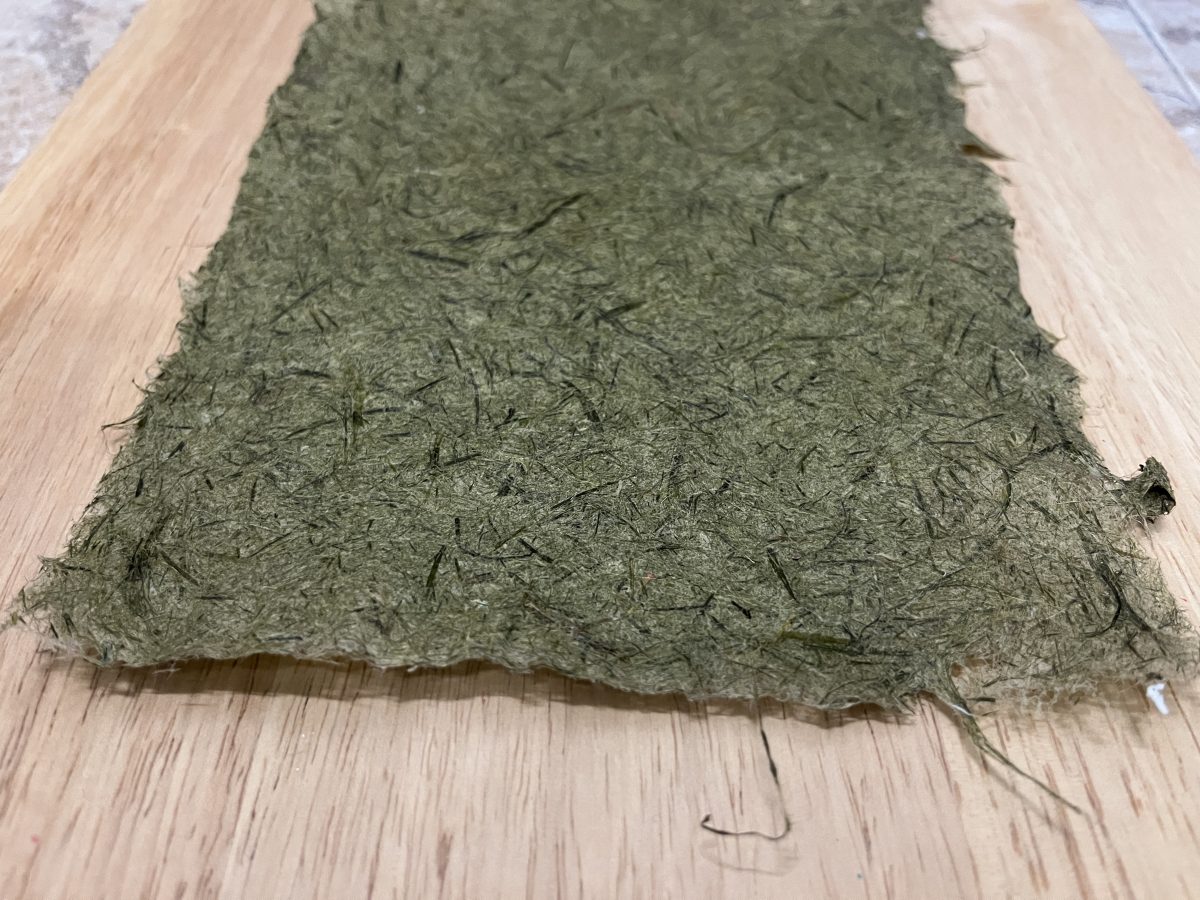 Wie man Papier aus Gras herstellt. Anleitung.